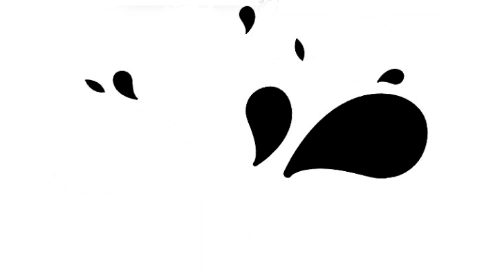 Tim B. - Slike